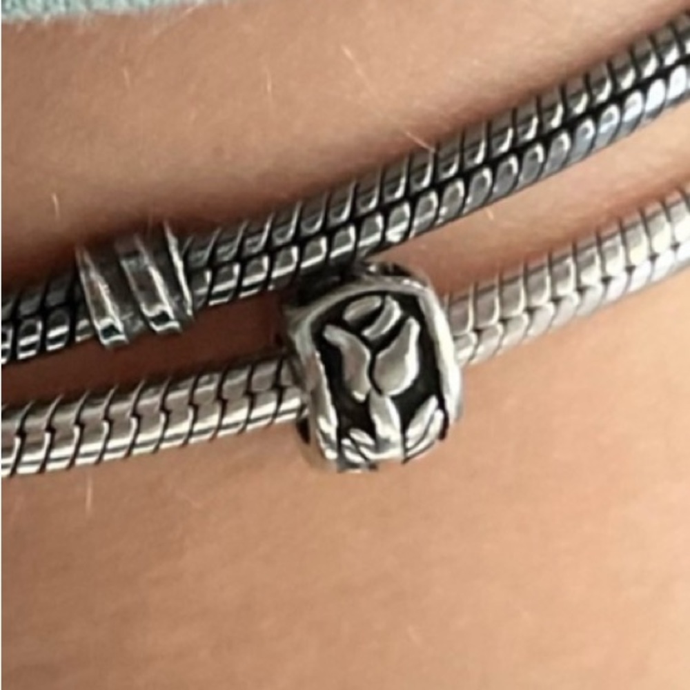 Pandora .925 Sterling Silver Rose Petal Charm Spacer